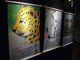 Higashiyama Zoo exhibition